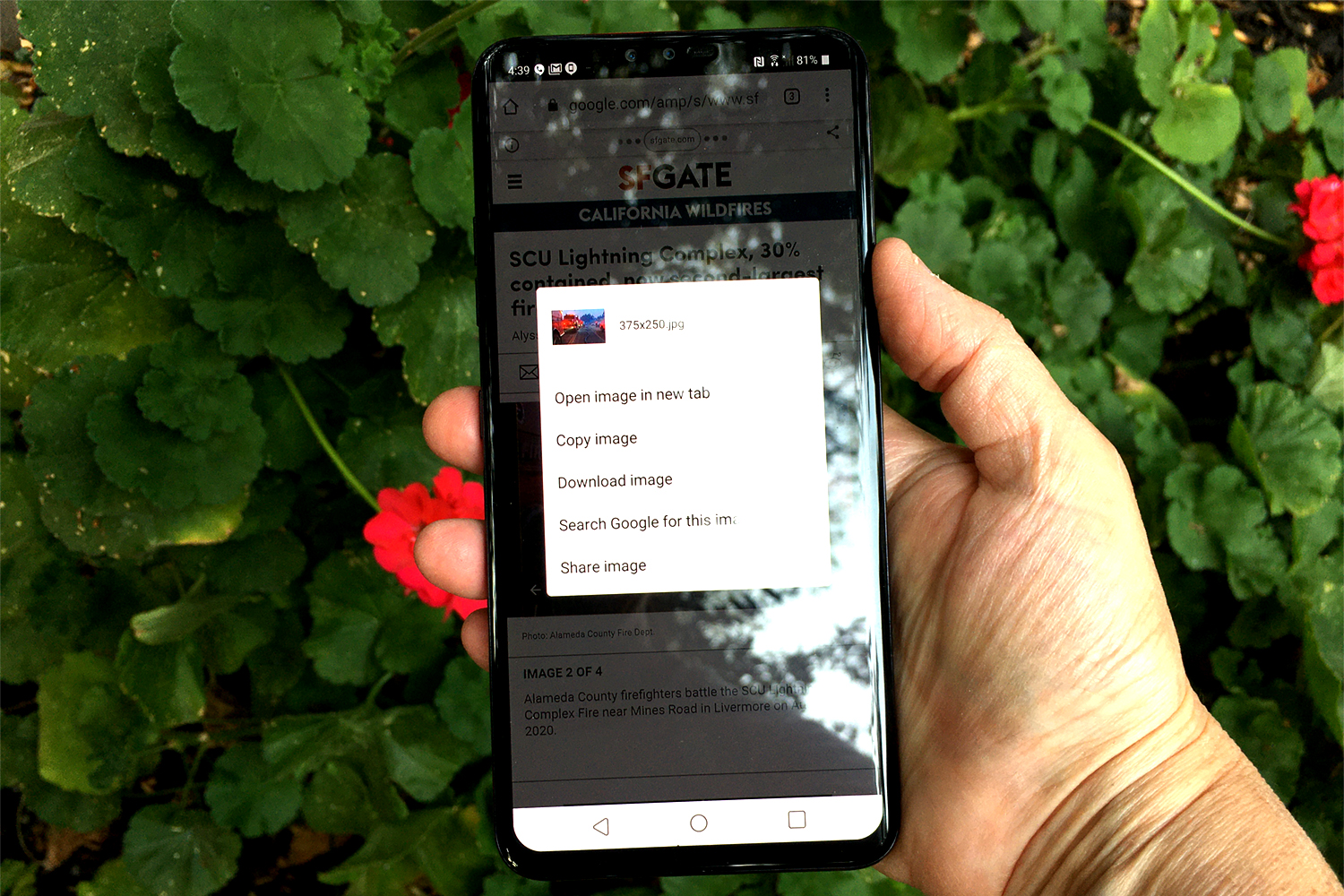 How to Perform a Reverse Image Search on Android or iPhone - Vimarsana News