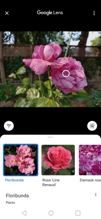 How to reverse search an image using Google Lens.