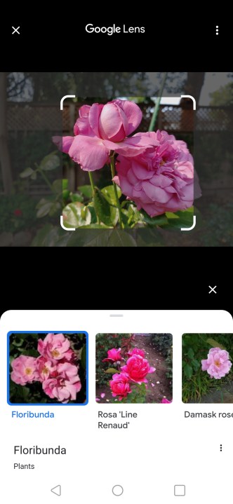 How to reverse search an image using Google Lens.