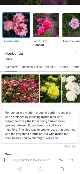 How to reverse search an image using Google Lens.