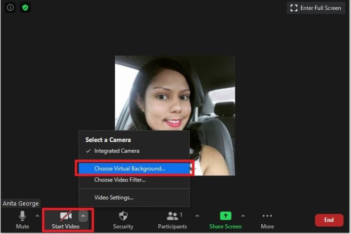 Zoom virtual background during meeting screenshot