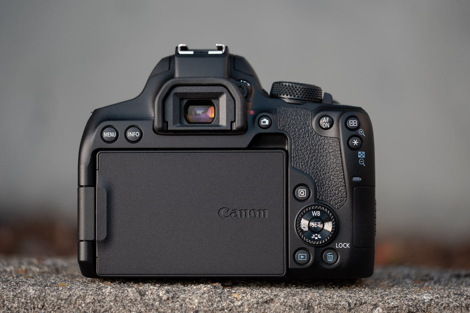 Product photo of Canon EOS Rebel T8i, back with screen hidden