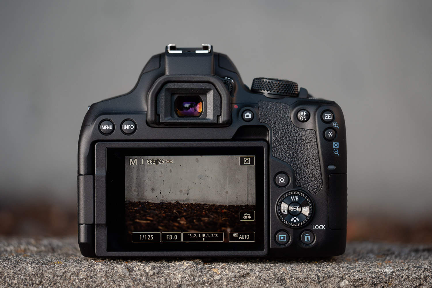 Product photo of Canon EOS Rebel T8i, back with screen revealed