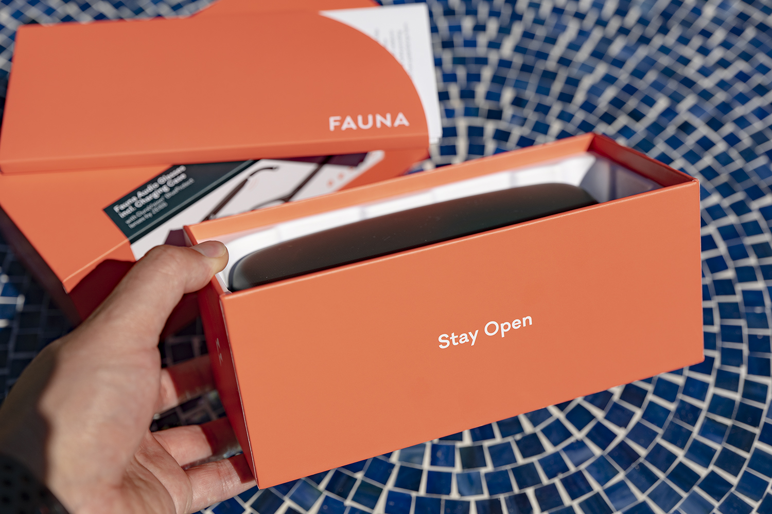 Fauna Audio Glasses Review: Don't Sound Great, Hard to Hate