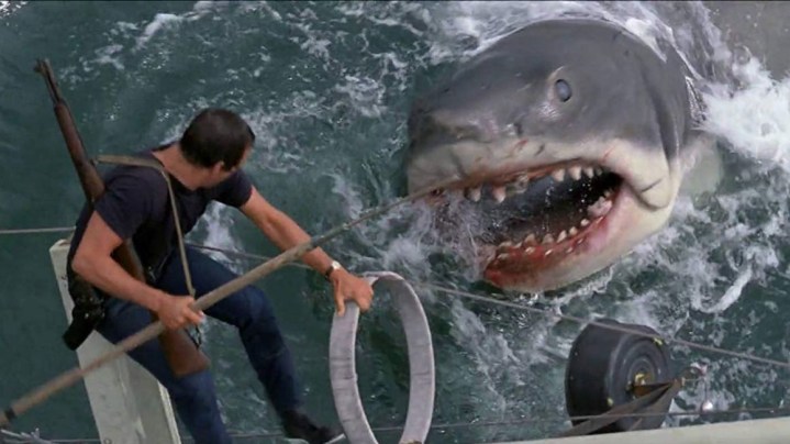 Roy Scheider respinge lo squalo in Jaws.