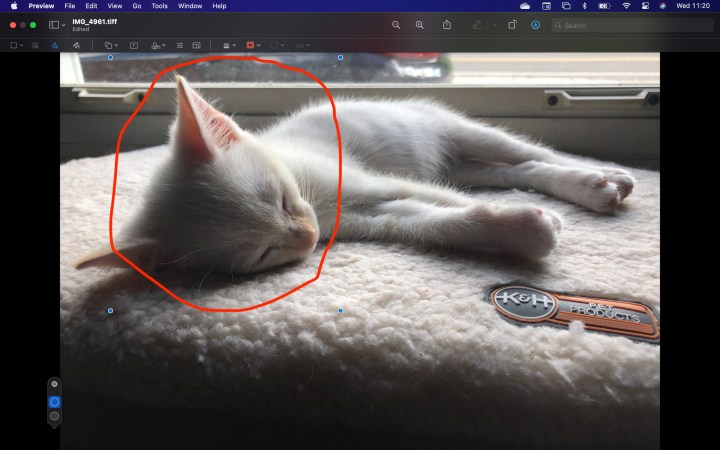 MacOS Preview Sketch Tool Raw
