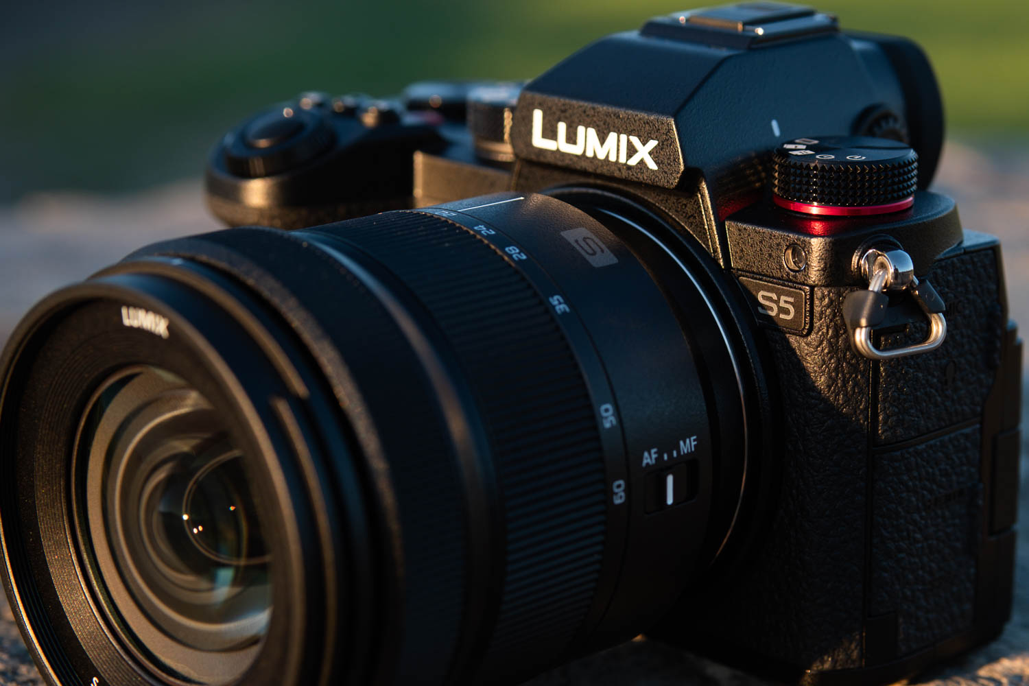 Panasonic Lumix S5 long term review: Small, capable, and priced to