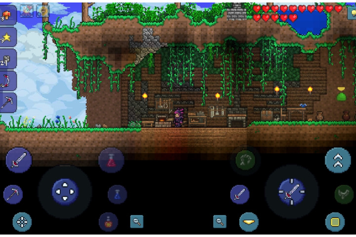 Terraria game on Android.