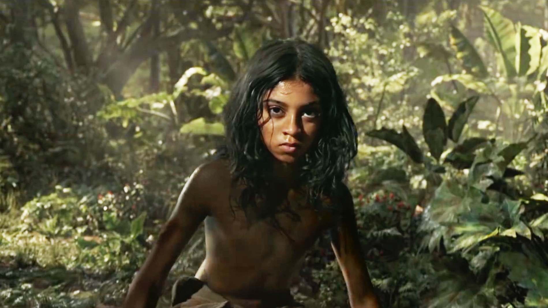 The best Netflix original movies right now - Vimarsana News