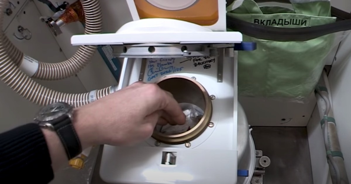ISS astronaut marks World Rest room Day with an explainer
