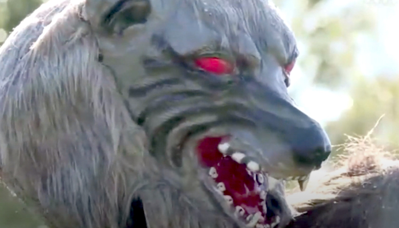 Bear-repelling 'Monster Wolf' robot gets wider deployment - Vimarsana News