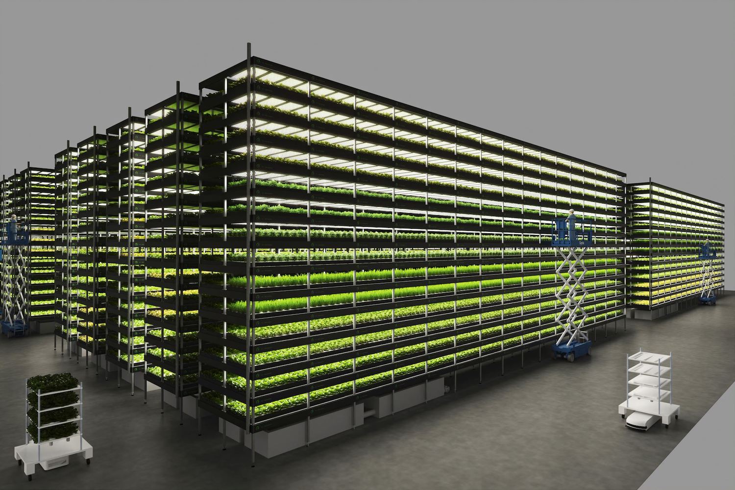 stærk Udfordring lærebog Robot Vertical Farm Will Grow 1,000 Tons of Greens Per Year | Digital Trends