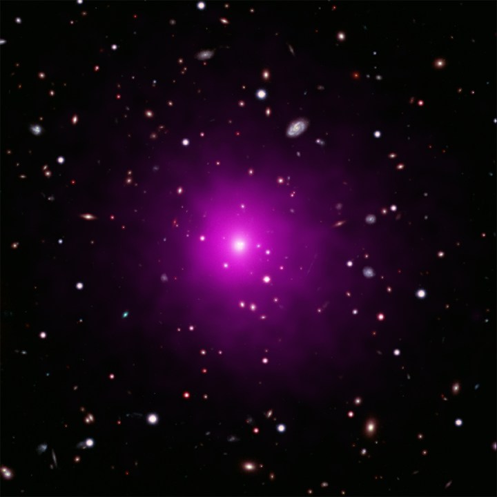 This image of Abell 2261 contains X-ray data from Chandra (pink) showing hot gas pervading the cluster as well as optical data from Hubble and the Subaru Telescope that show galaxies in the cluster and in the background.