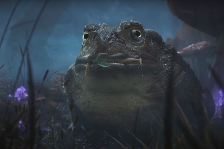 A toad from Fable 4 eats a fairy. 