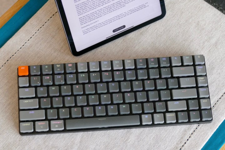 iPad keyboards for 2023 | Digital Trends