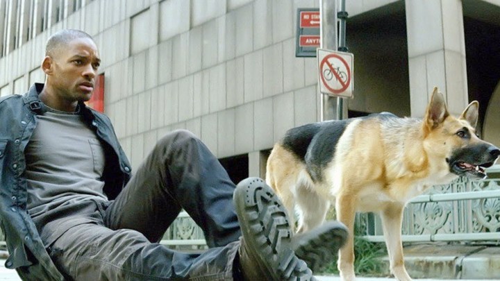 Robert Neville lying on the ground next to a German Shepherd in I Am Legend.