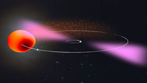 Artist's impression of PSR J2039−5617 and its companion. The binary system consists of a rapidly rotating neutron star (right) and a stellar companion about a sixth of the mass of our Sun (left). The star is deformed by the neutron star's strong tidal forces and it is heated by the neutron stars gamma radiation (magenta). The modelled surface temperature of the star is shown in brown (cooler) to yellow (hotter) color. The radiation from the neutron star slowly but surely evaporates the star and creates clouds of plasma in the binary system, which hamper observation at radio wavelengths. 
