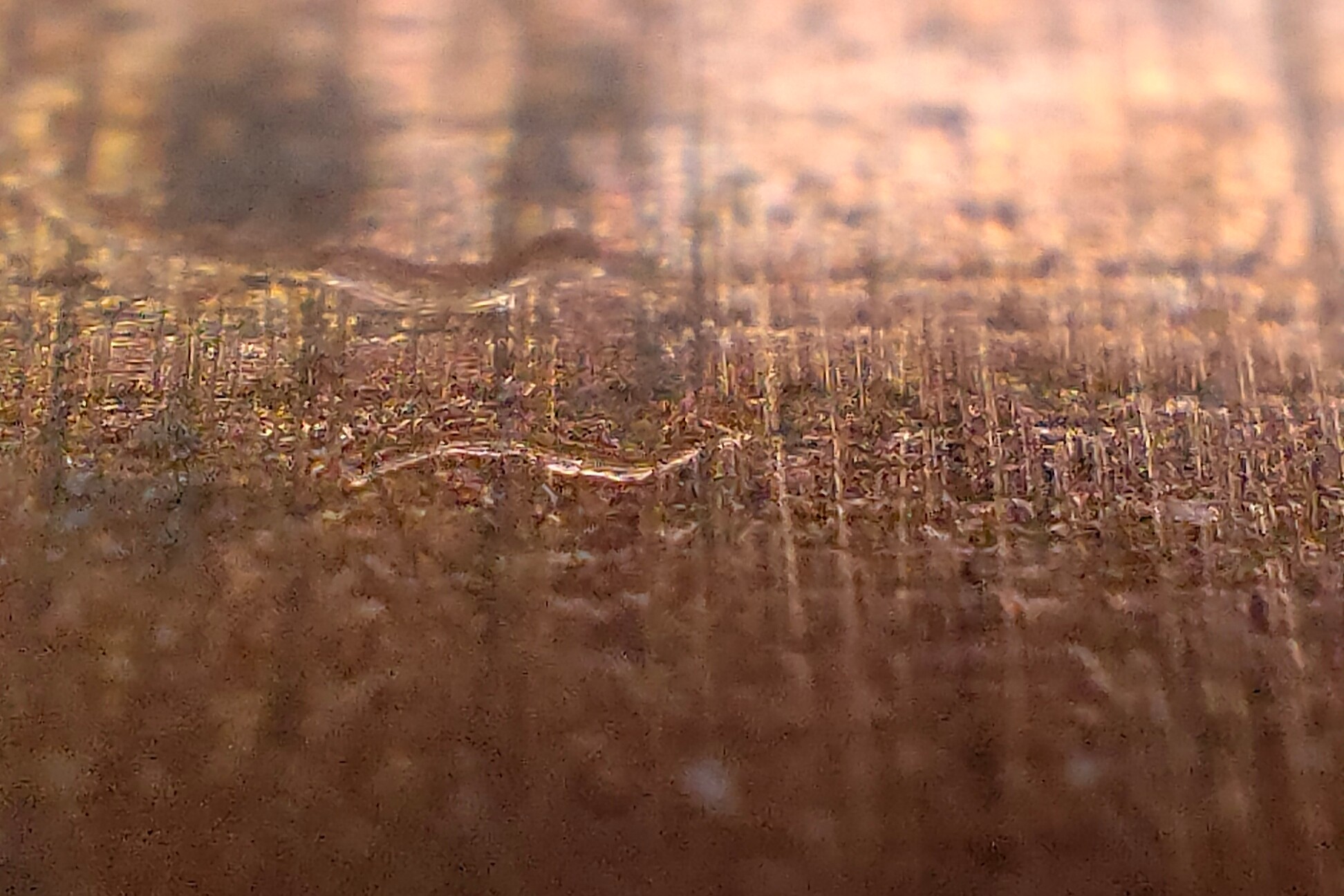 oppo find x3 pro microscope camera fun gimmick copper micro