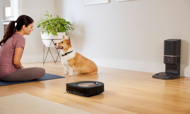 Roomba on floor with dog.