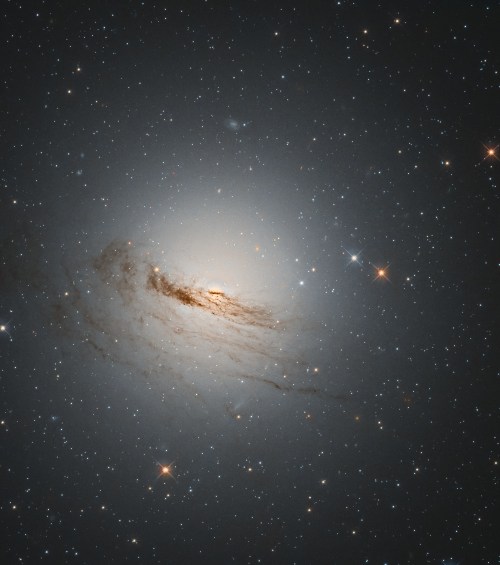 This unusual lenticular galaxy, which is between a spiral and elliptical shape, has lost almost all the gas and dust from its signature spiral arms, which used to orbit around its center. Known as NGC 1947, this galaxy was discovered almost 200 years ago by James Dunlop, a Scottish-born astronomer who later studied the sky from Australia. NGC 1947 can only be seen from the southern hemisphere, in the constellation Dorado (the Dolphinfish).