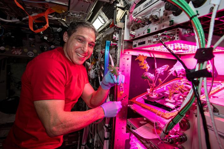 NASA astronaut Mike Hopkins has tended to multiple plant experiments on the International Space Station (ISS). Hopkins believes plants grown in space can help astronauts become more self-sufficient.