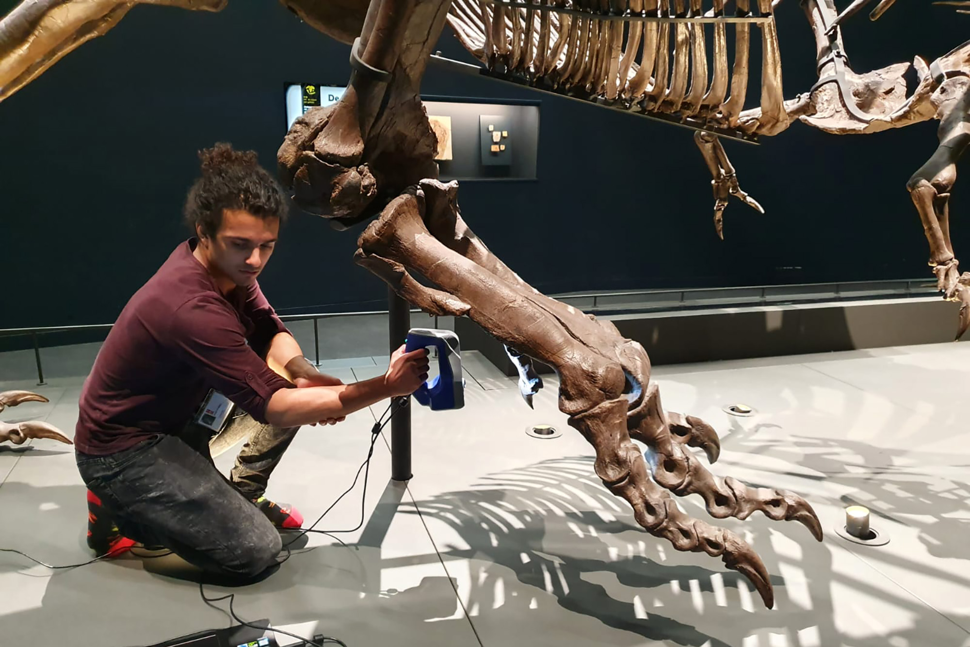 3D Printing a Full-Size Tyrannosaurus Rex Skeleton