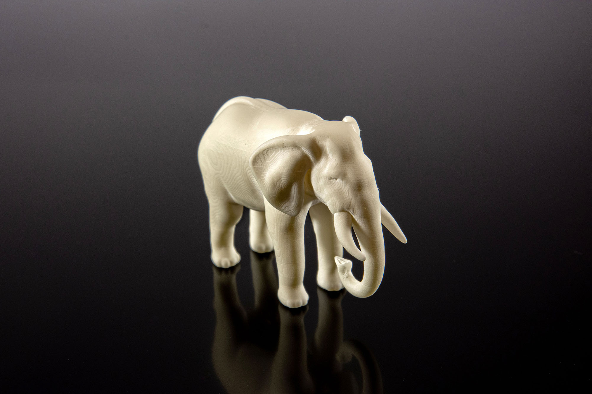 New 3D Printed Could Curb Digital Trends