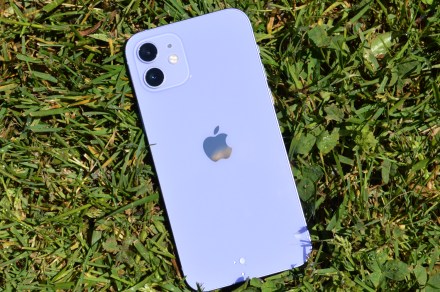 iphone 12 purple 2