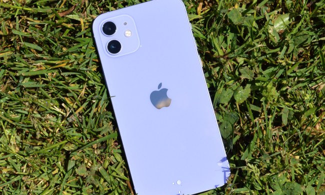 iPhone 12 in purple.