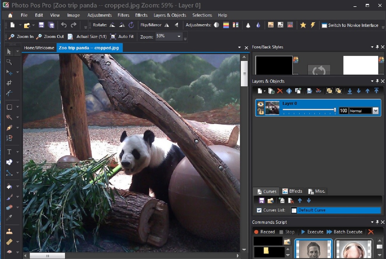 A interface do editor de fotos Photo Pos Pro ao editar uma foto de um panda.