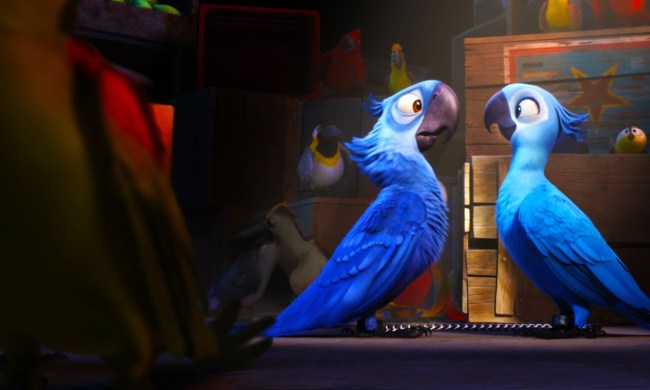 A parrot stares at a similarly colored parrot in a scene from Rio.