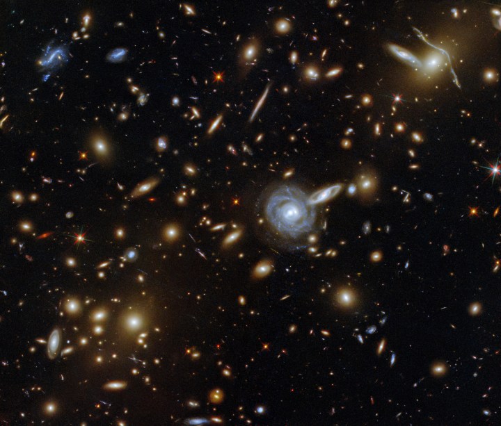 This packed image taken with the NASA/ESA Hubble Space Telescope showcases the galaxy cluster ACO S 295, as well as a jostling crowd of background galaxies and foreground stars. Galaxies of all shapes and sizes populate this image, ranging from stately spirals to fuzzy ellipticals. This galactic menagerie boasts a range of orientations and sizes, with spiral galaxies such as the one at the center of this image appearing almost face on, and some edge-on spiral galaxies visible only as thin slivers of light.