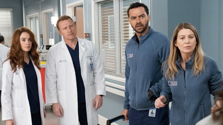 Dr. Grey and others from Grey's Anatomy season 17 on Netflix.