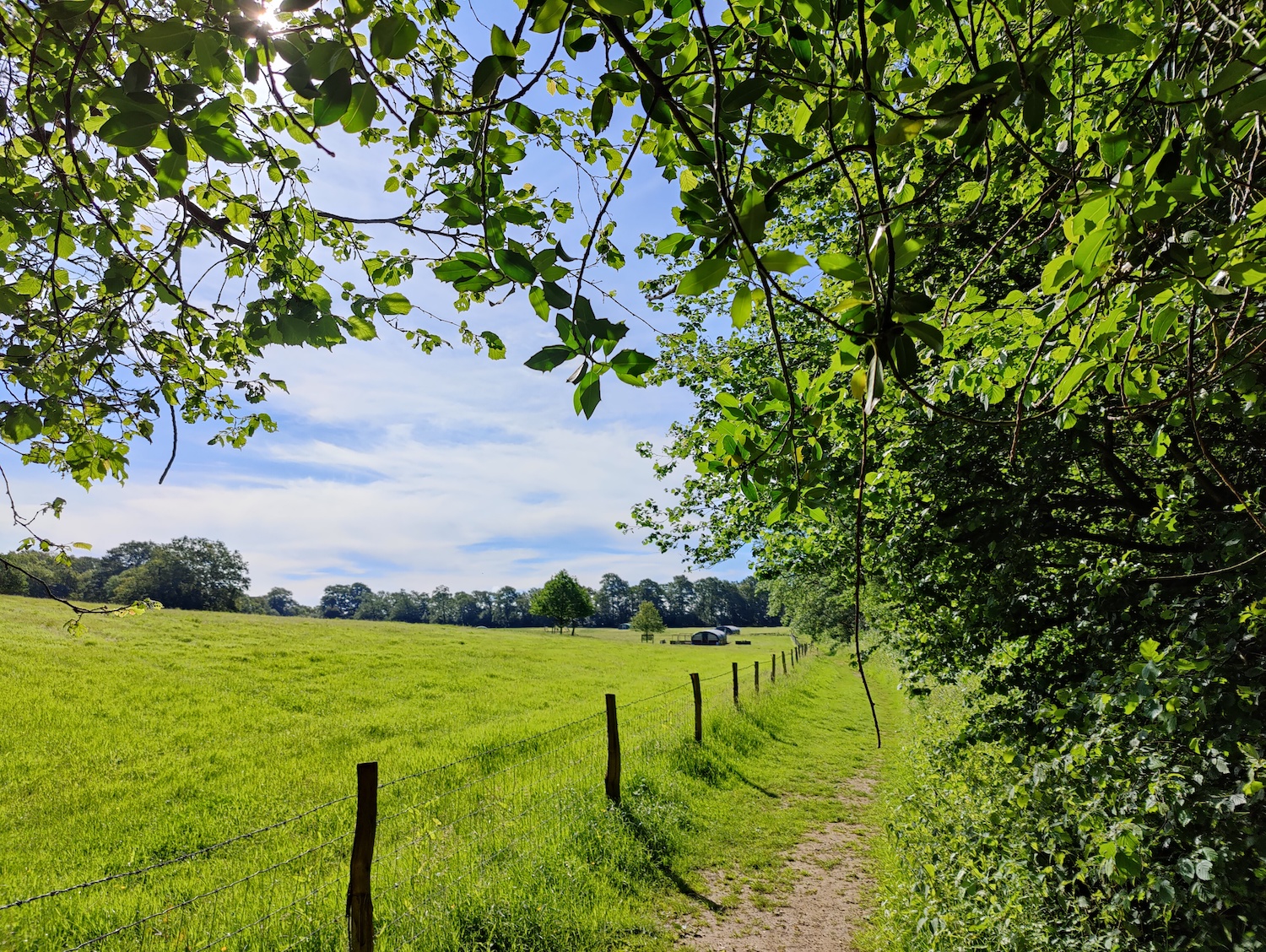 Path and field scene photo taken with the OnePlus 9 Pro