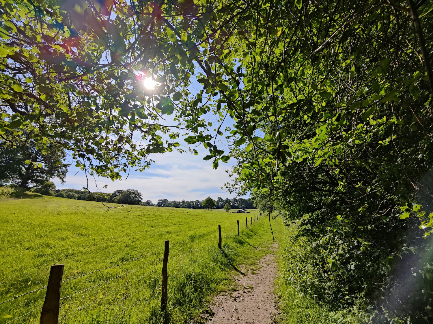 Wide-angle path and field scene photo taken with the OnePlus 9 Pro