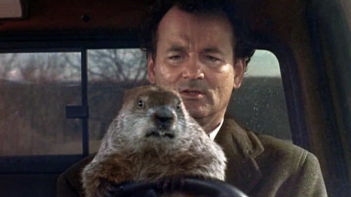 Bill Murray in the driver's seat of a car with a groundhog on the wheel.