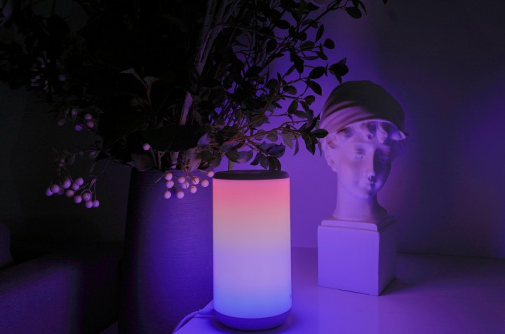 The Govee Lamp with RGB lights.