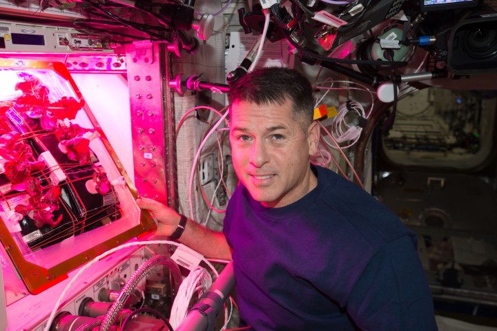 Shane Kimbrough growing lettuce on the International Space Station. 