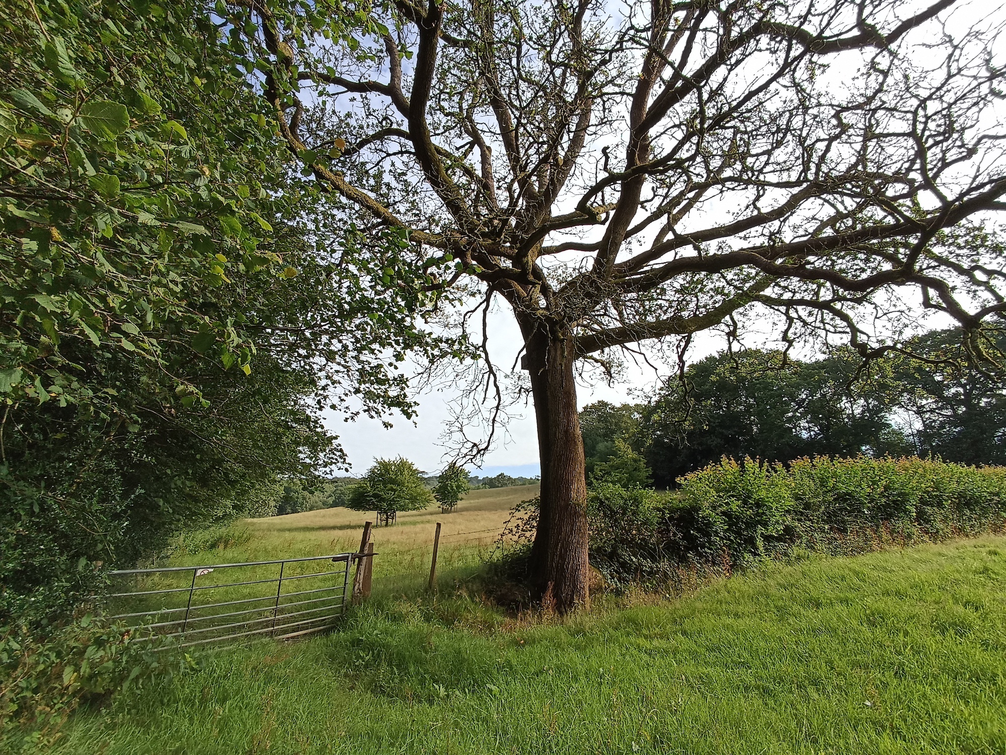 Wide-angle photo taken with the Xiaomi Redmi Note 10S.