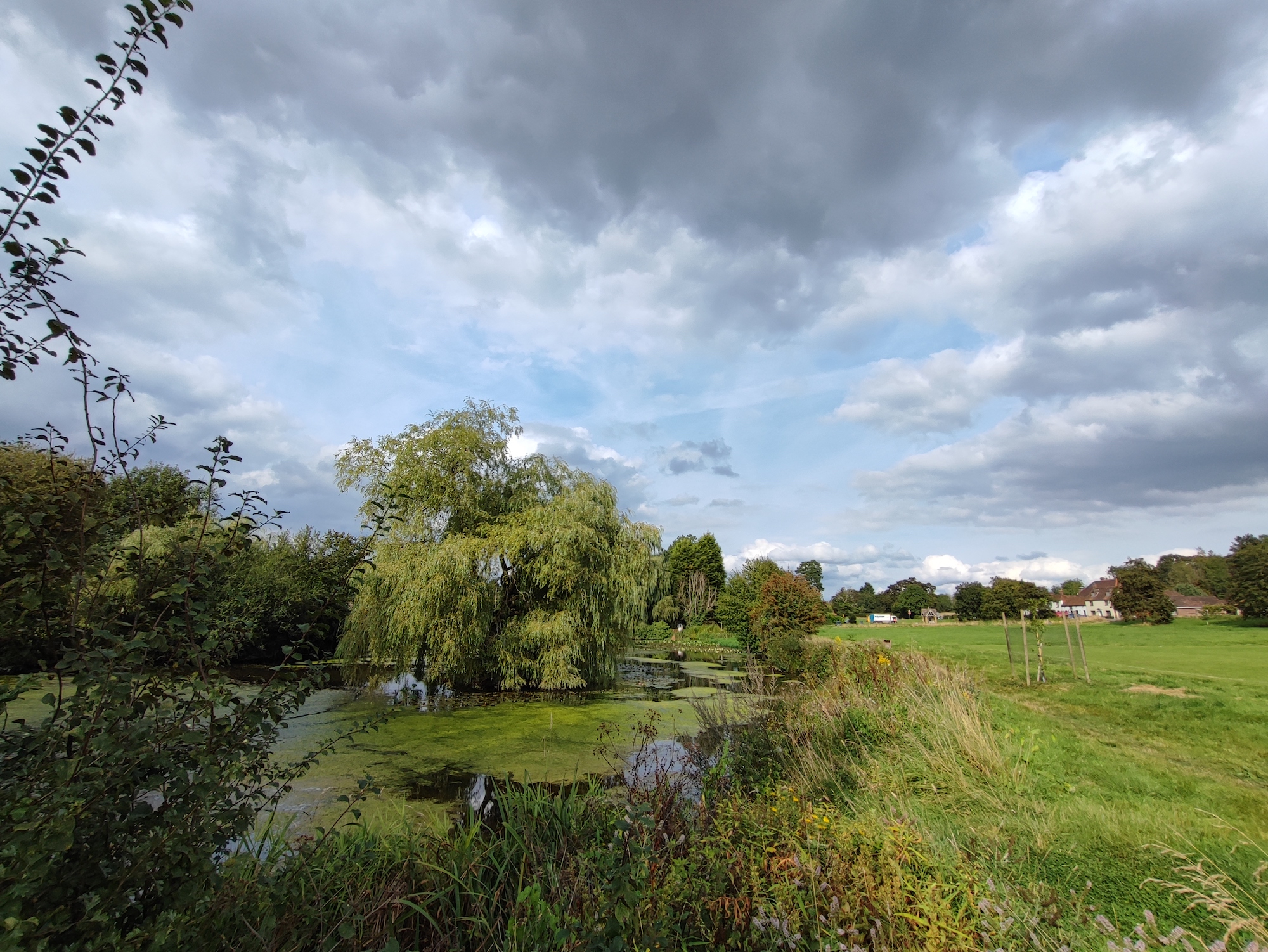 Wide-angle photo of a pond taken with the Xiaomi 11T Pro.