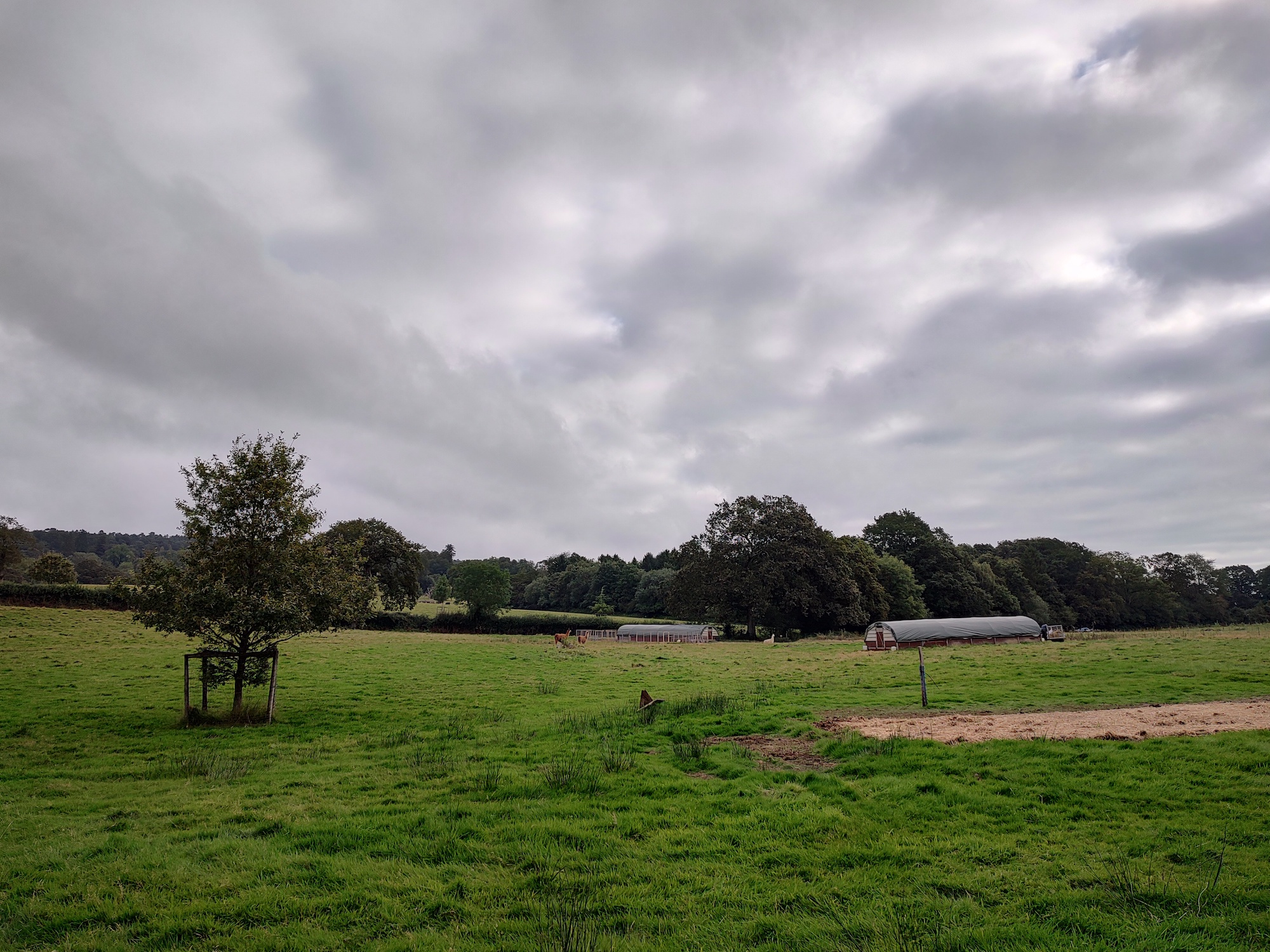 Photo of a farm taken with the main camera on the Moto Edge 20 Pro.