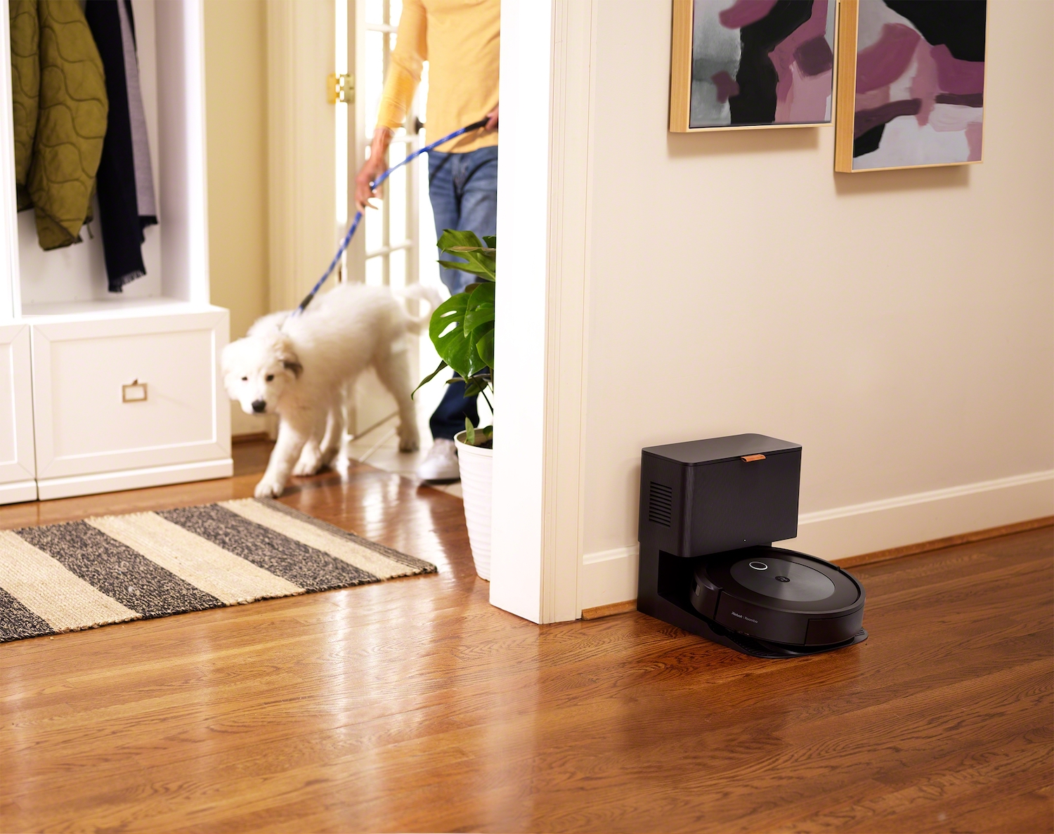 Do You Need a Roomba for Each Floor 