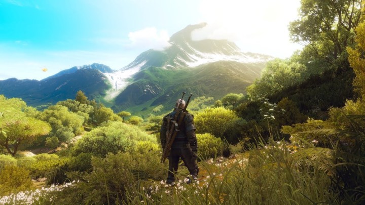 Geralt regardant la montagne dans The Witcher 3.
