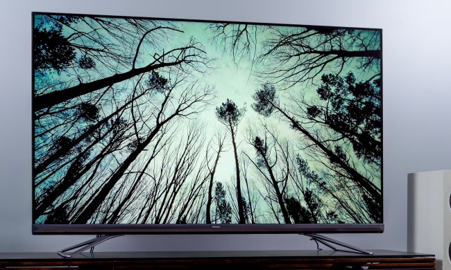 Tree image on the Hisense U9DG TV.