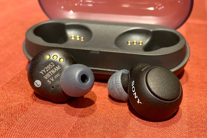 Sony WF-C500 accurate wireless earbuds.