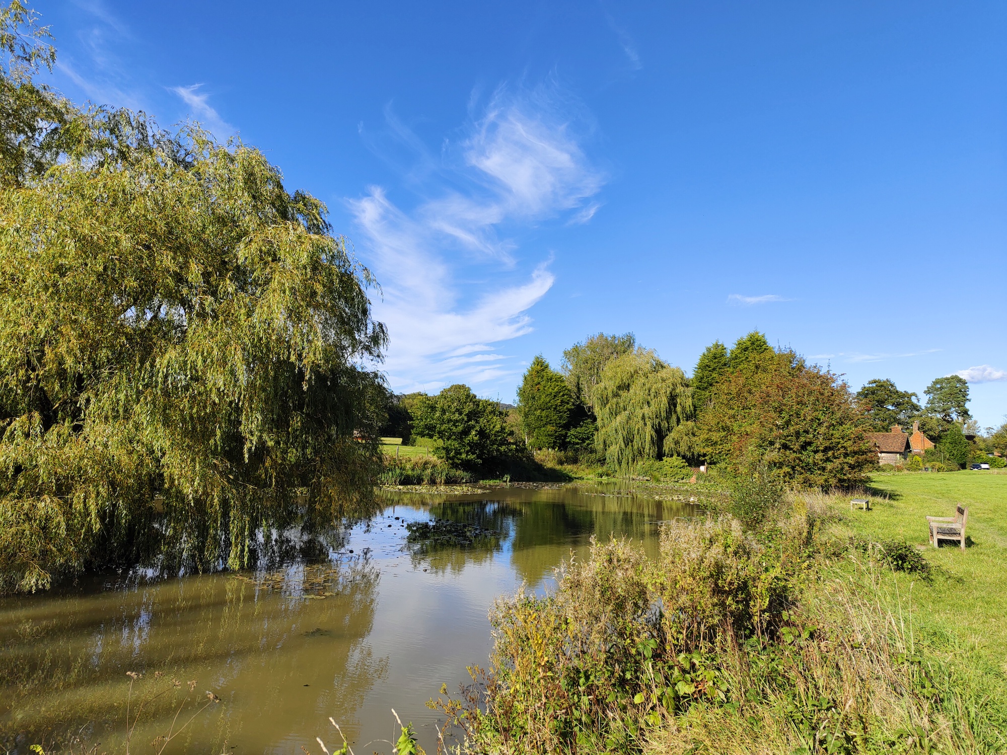 Photo of a pond taken with the Vivo X70 Pro+.