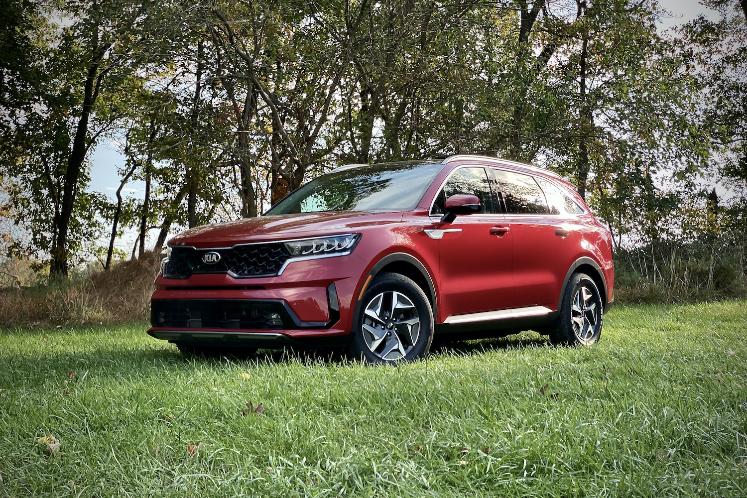 Front end of the 2021 Kia Sorento Hybrid from the driver's side in a grassy field.
