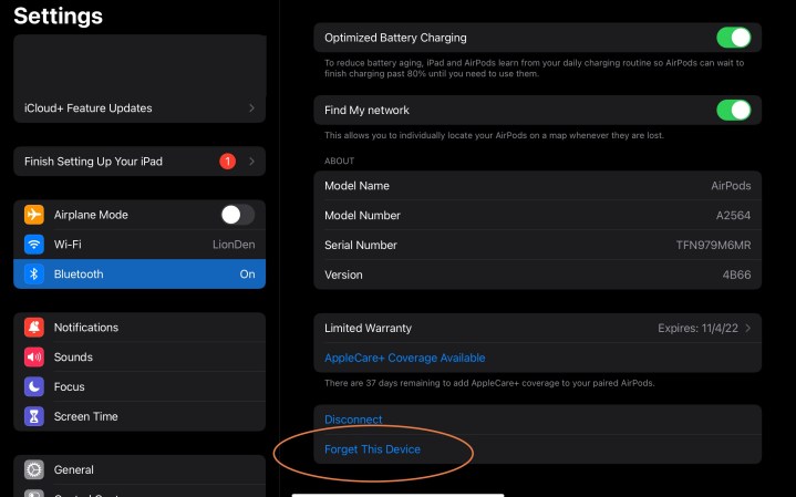 iPadOS Forget This Device option.
