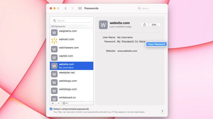 MacOS Password menu with Copy Password highlighted.