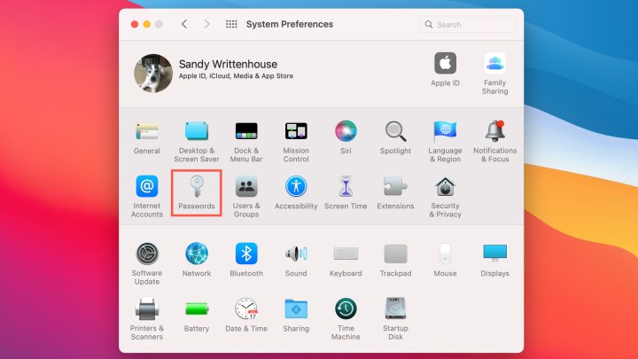 Passwords را در System Preferences انتخاب کنید.